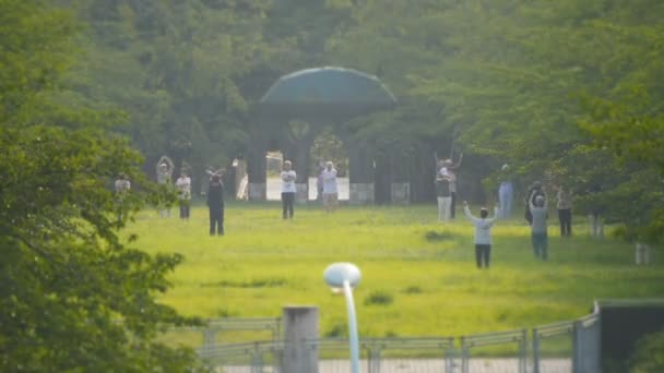 Rádió gyógytorna vagy a rádió torna — Stock videók