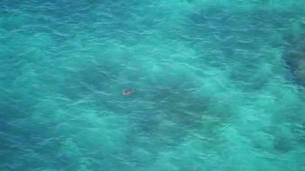 Okinawa Japonsko Října 2020 Mořská Želva Dýchající Hladině Ostrově Miyakojima — Stock video
