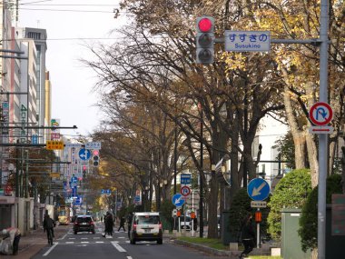 Hokkaido, Japonya-10 Kasım 2020: Sapporo şehrinin yakınlarındaki tramvay raylarına yığılmış sonbahar yapraklarını temizleme