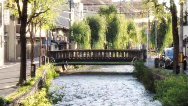 Kyoto Japonya Kasım 2020 Kyoto Daki Higashiyama Istasyonu Yakınlarındaki Shirakawa — Stok video