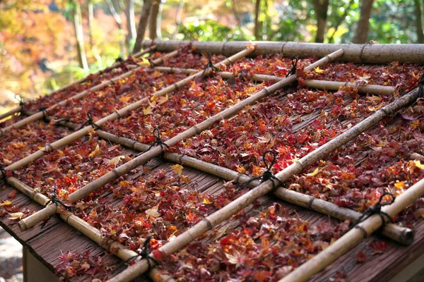 Kyoto Japon Novembre 2020 Des Feuilles Automne Empilées Sur Toit — Photo