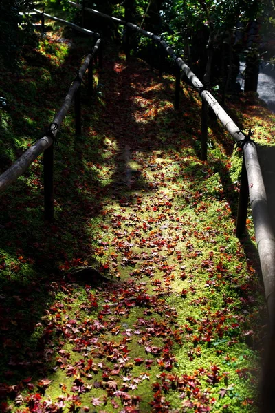 Kyoto Japan November 2020 Scattered Autumn Leaves Alley Kyoto — Stock Photo, Image