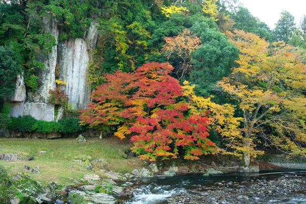 Nara Japonia Listopada 2020 Kolorowe Jesienne Liście Wzdłuż Rzeki Uda — Zdjęcie stockowe