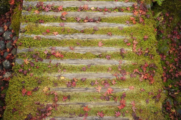 Kyoto Japan November 2020 Autumn Leaves Stacked Wooden Bridge — Stock Photo, Image