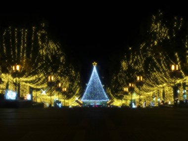 Tokyo, Japonya-23 Aralık 2020: Tokyo 'da aydınlatılmış Noel ağacı