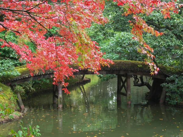 Kioto Japonia Listopada 2020 Katsura Imperial Villa Deszczowy Jesienny Dzień — Zdjęcie stockowe