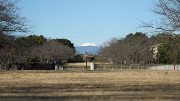 Tóquio Japão Março 2021 Fuji Visto Tóquio Dia Muito Bom — Vídeo de Stock