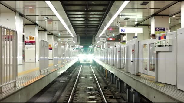 Tóquio Japão Março 2021 Trem Aproximando Uma Estação Terminal Subterrânea — Vídeo de Stock