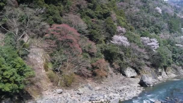 Hozugawa Ποτάμι Hozu Kudari Βόλτα Arashiyama Κιότο Sakura Κεράσι Άνθη — Αρχείο Βίντεο