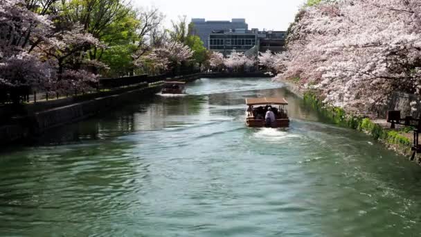 Kioto Japón Abril 2021 Okazaki Jikkokubune Boat Ride Cherry Blossoms — Vídeos de Stock