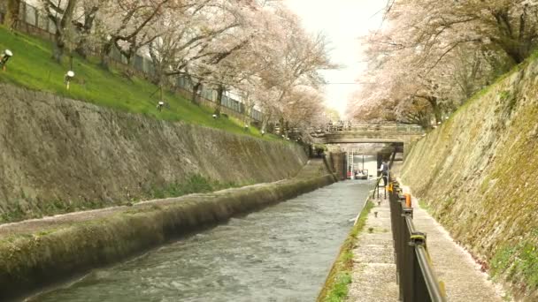 Shiga Giappone Aprile 2021 Primo Tunnel Approdo Biwako Sosui Lake — Video Stock