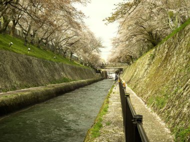 Shiga, Japonya-2 Nisan 2021: Otsu Kilidi ve Biwako Sosui veya Shiga Gölü Kanal Gezisi