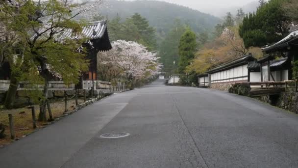 Kyoto Japonya Mart 2021 Nanzenji Tapınağı Nda Yağmurdan Sonraki Kiraz — Stok video