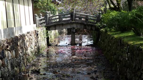 Kyoto Jepang Maret 2021 Sebuah Jembatan Batu Atas Sungai Arisugawa — Stok Video