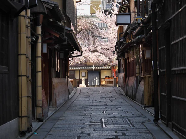 Kyoto Japan April 2021 Kyoto Gion Kiritoshi Richting Tatsumi Brug — Stockfoto