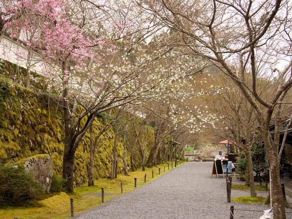 Kioto Japonia Marca 2021 Główne Podejście Świątyni Sanzenina Oharze Kioto — Zdjęcie stockowe