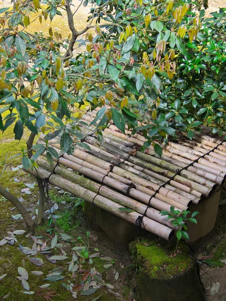 Kyoto Japan March 2021 Old Well Covered Bamboo Shade Garden — Stock Photo, Image