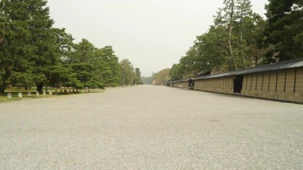 Kyoto Ιαπωνία Μαρτίου 2021 Περπατήστε Στο Kyoto Gyoen National Garden — Αρχείο Βίντεο