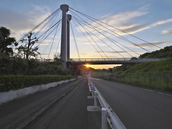 Tokyo Giappone Maggio 2021 Ponte Ipponsugi Bashi All Alba Nella — Foto Stock
