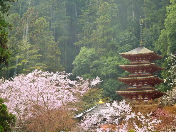 2021年3月28日 日本奈良 樱花在雨中绽放 映衬着日本奈良雾蒙蒙的黑龙山 — 图库照片