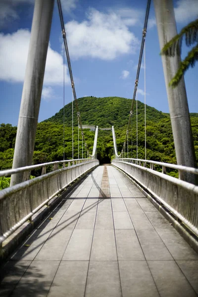 Οκινάουα Ιαπωνία Μαΐου 2021 Κρεμαστή Γέφυρα Πάνω Από Λίμνη Του — Φωτογραφία Αρχείου
