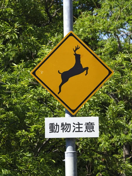 日本北海道 2021年6月23日 在日本北海道市Shiretoko的鹿交叉标志 — 图库照片