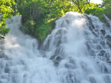 Hokkaido, Japonya - 24 Haziran 2021: Yazın Shiretoko Ulusal Parkı 'nda Oshinkoshin Şelalesi