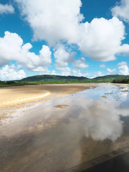 Okinawa Japón Julio 2021 Nagura Anparu Humedal Isla Ishigaki Okinawa — Foto de Stock