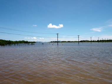 Okinawa, Japonya - 13 Temmuz 2021: Japonya 'nın Okinawa kentindeki Yubu adası ile Iriomote adası arasındaki elektrik direkleri ve elektrik telleri