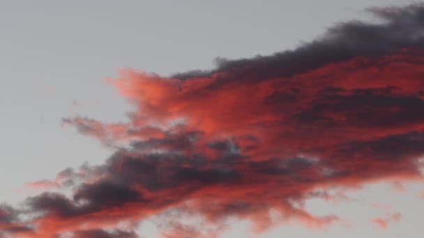 Tokio Japón Agosto 2021 Nubes Rojas Iluminadas Por Amanecer — Vídeo de stock