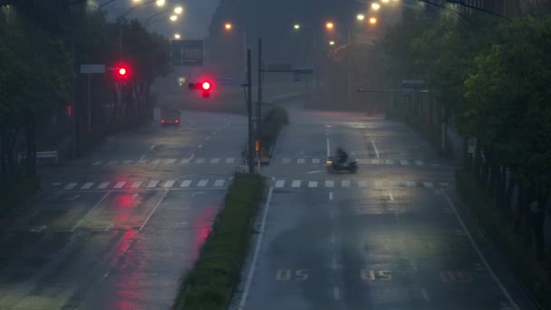 Tokio Japonsko Srpna 2021 Ulice Pod Silným Deštěm Tama Tokio — Stock video