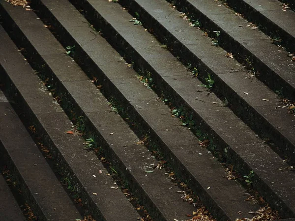 Tokyo, Japonya - 29 Ekim 2025: Sonbahar gecesi somut adımlar