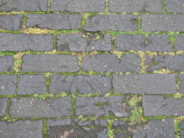 Londra, İngiltere - 9 Ekim 2025: Londra, İngiltere 'de Chequer Caddesi ahşap Paving