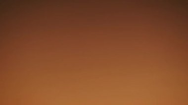 Tokyo, Japonya - 15 Aralık 2025: Şafak vakti uçan bir kuş