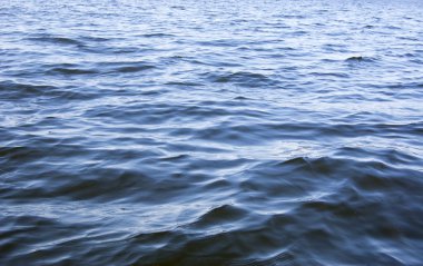 Okyanus ya da deniz dalgaları