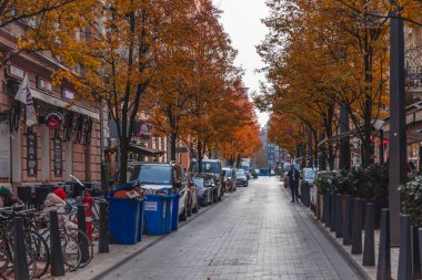 Budapeşte 'de sonbahar sokak manzarası ve Noel süsleri. Kasım 2025