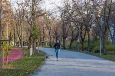 Macaristan 'ın başkenti Budapeşte' de yapraklı bir şehir parkında küçük köpeğiyle koşan spor kıyafetli bir kadının yatay açıdan geniş açı çekimleri.