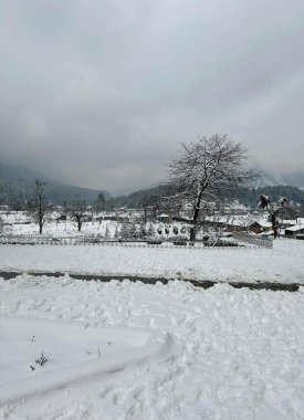 Soğuk bir kış sabahı Kashmir 'i kaplayan Taze Kar