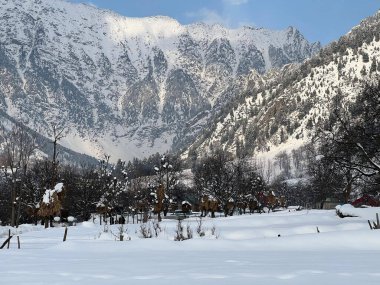 Kaşmir 'deki Karlı Dağlar, Bulutlar ve Ağaçların Panoramik Manzarası