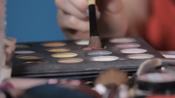 Pinsel gewinnt Schatten aus der Palette — Stockvideo