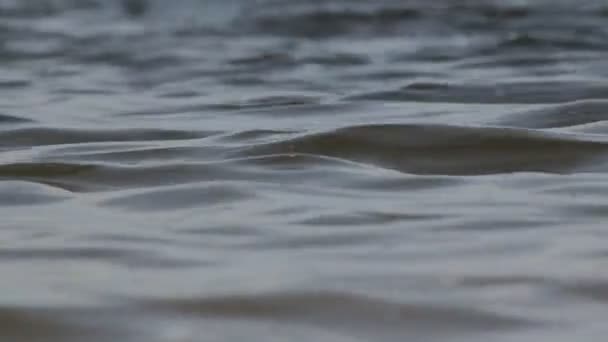 Strand zand golven — Stockvideo