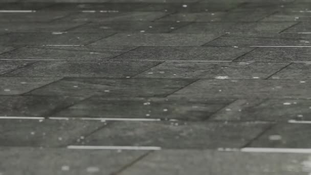 Капли дождя на тротуаре в городском парке — стоковое видео