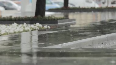Şehir Parkı kaldırım üzerinde yağmur damlaları