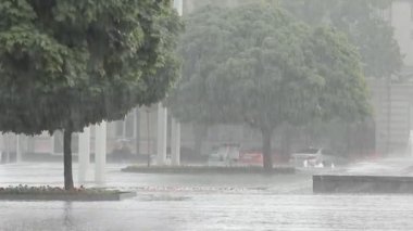 Şiddetli yağmur, Şehir Parkı içinde şiddetli bir yağmur