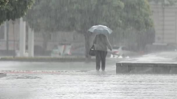 Chuva forte, um aguaceiro no parque da cidade — Vídeo de Stock