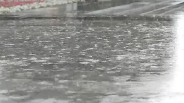 Raindrops on the pavement in a city park — Stock Video