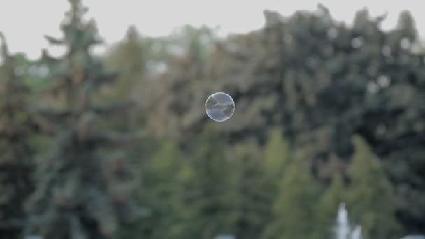 Flying in a park bubble — Stock Video