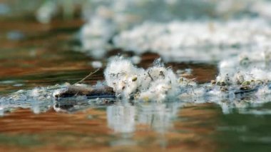 Uçan kavak kabartmak