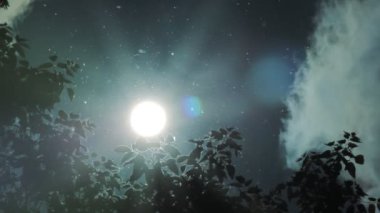 Gökyüzü güneş kavak kabartmak bırakır