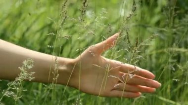 Eller kadın okşayarak çimen